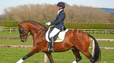 DSC_2751-copyright-Sally-P-Coles-2014-Up-with-the-Lark.jpg
