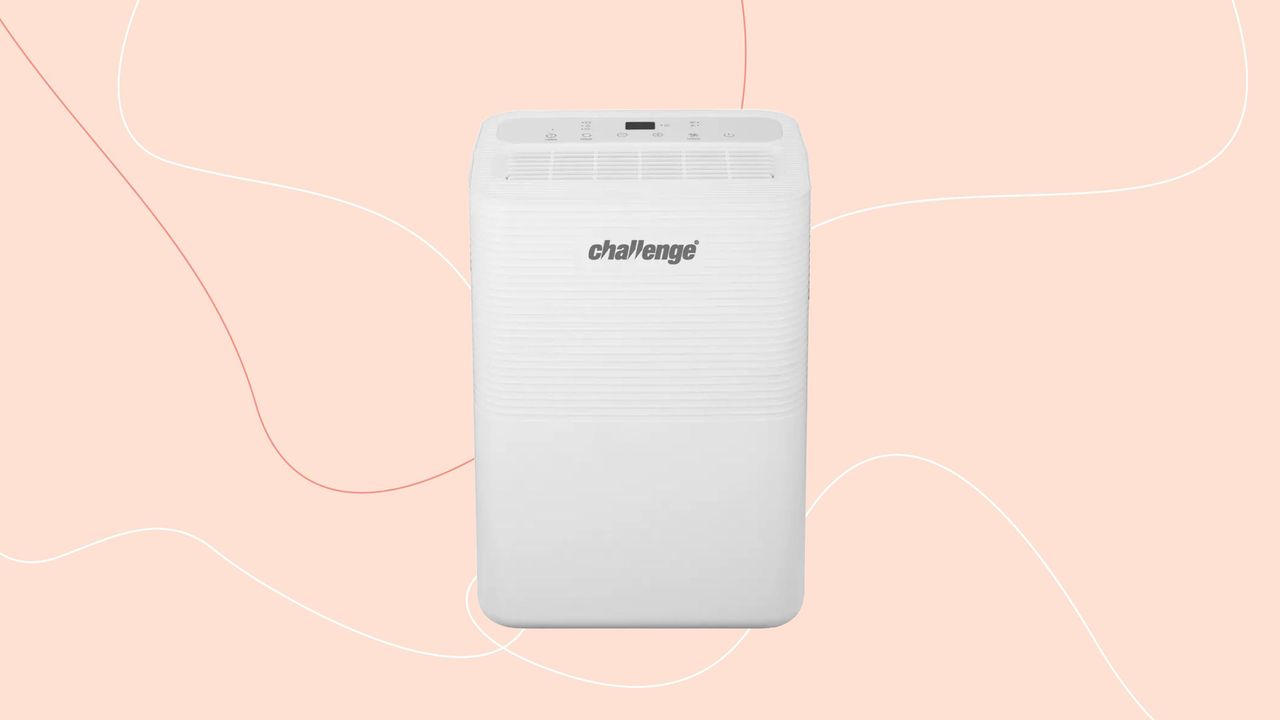 Challenge D015B 12L Dehumidifier on a pink background