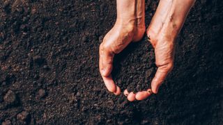 A pair of hands holding soil above the ground