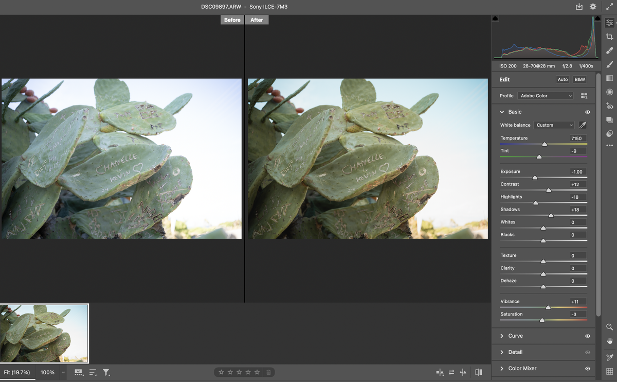 Adobe Camera Raw