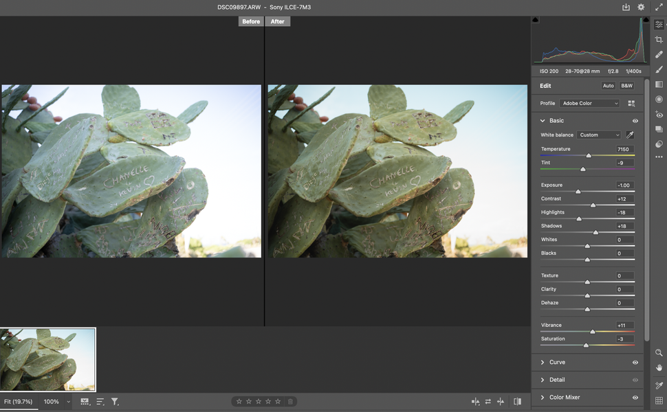 Adobe Camera Raw: What It Does And Why You Need To Use It | Digital ...