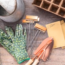 gardening tools and plant kit on worktop