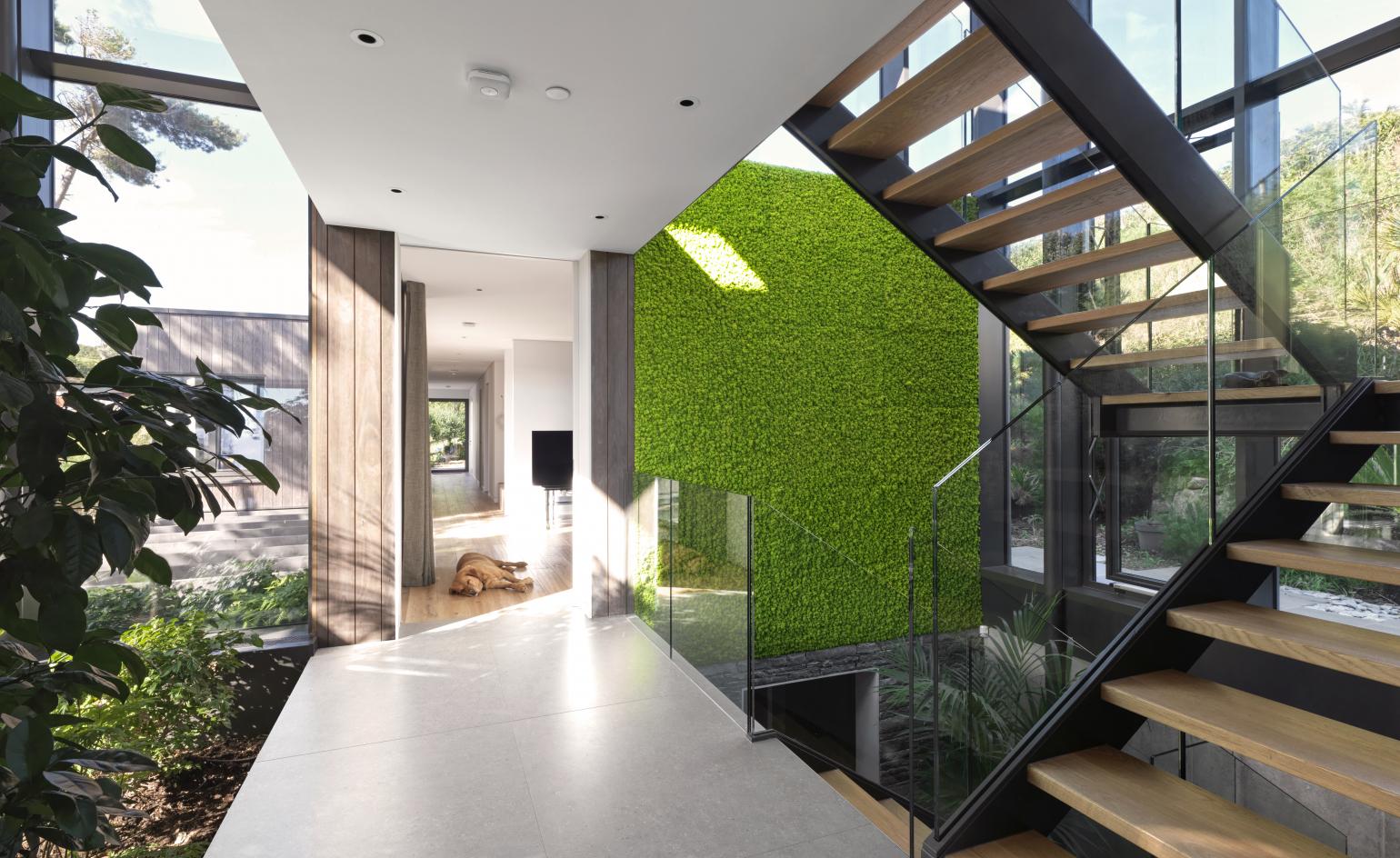 glass staircase with plants