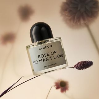 Byredo Rose of No Man's Land Eau de Parfum floral perfume shot on the stem of a flower