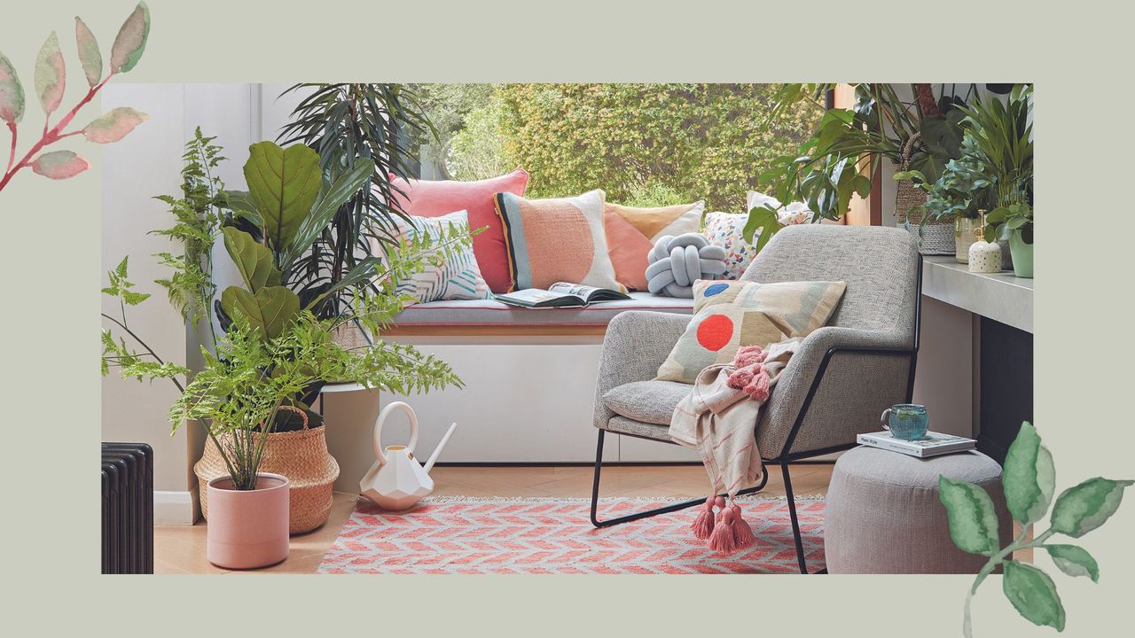 House interior window seat with window behind with armchair surrounded by house plants to support advice on plants that help with condensation