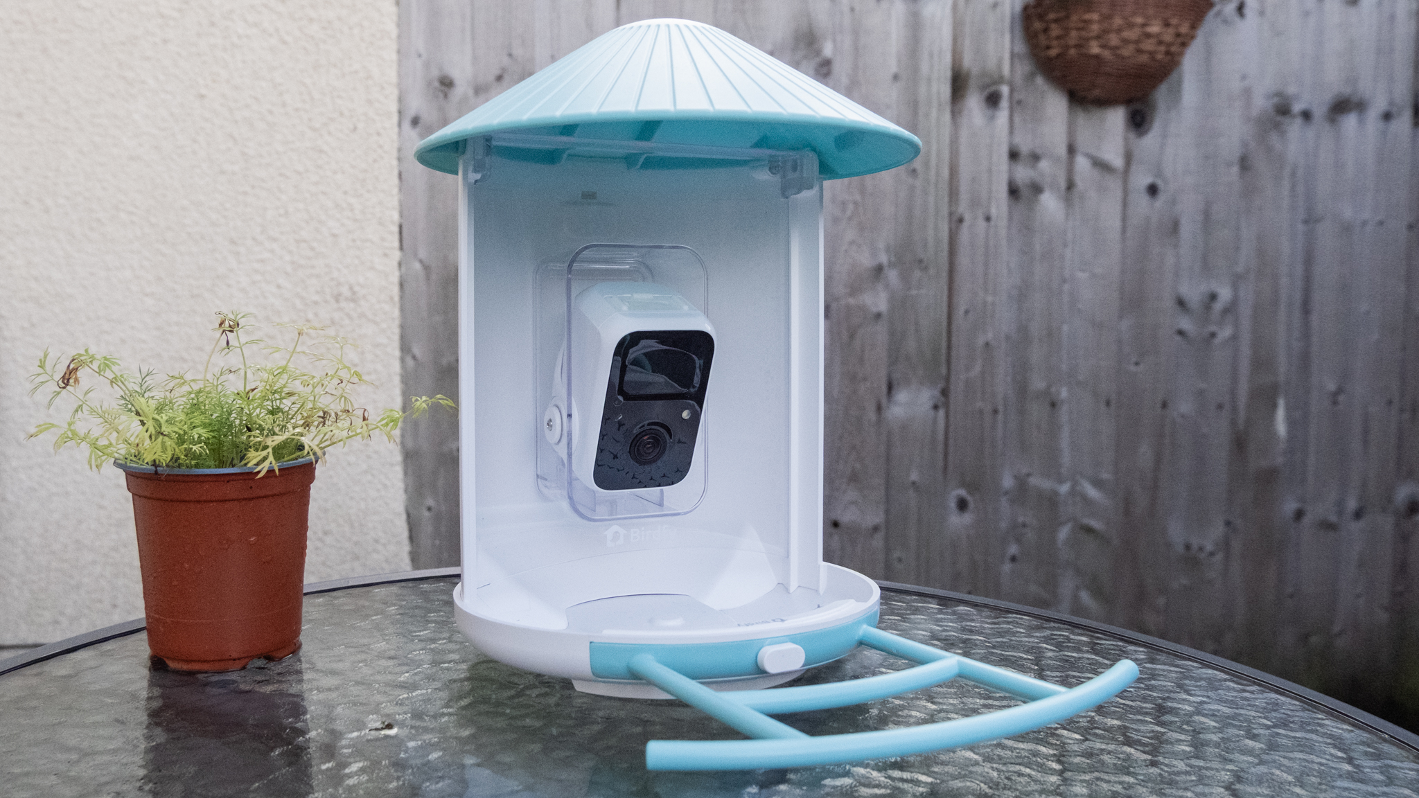 A Netvue Birdfy Feeder AI smart bird feeder