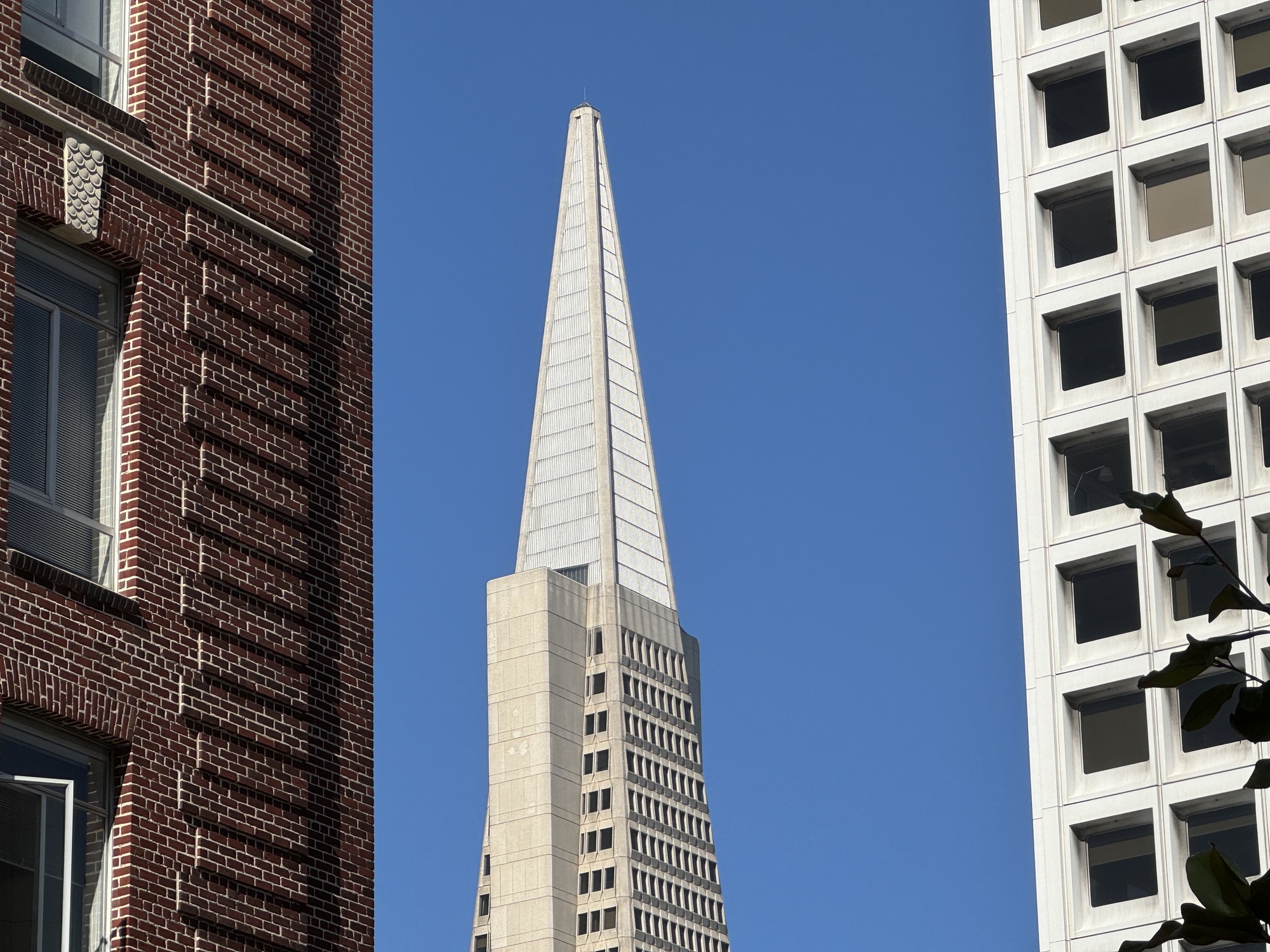 Transamerica zoom by iphone 15 pro