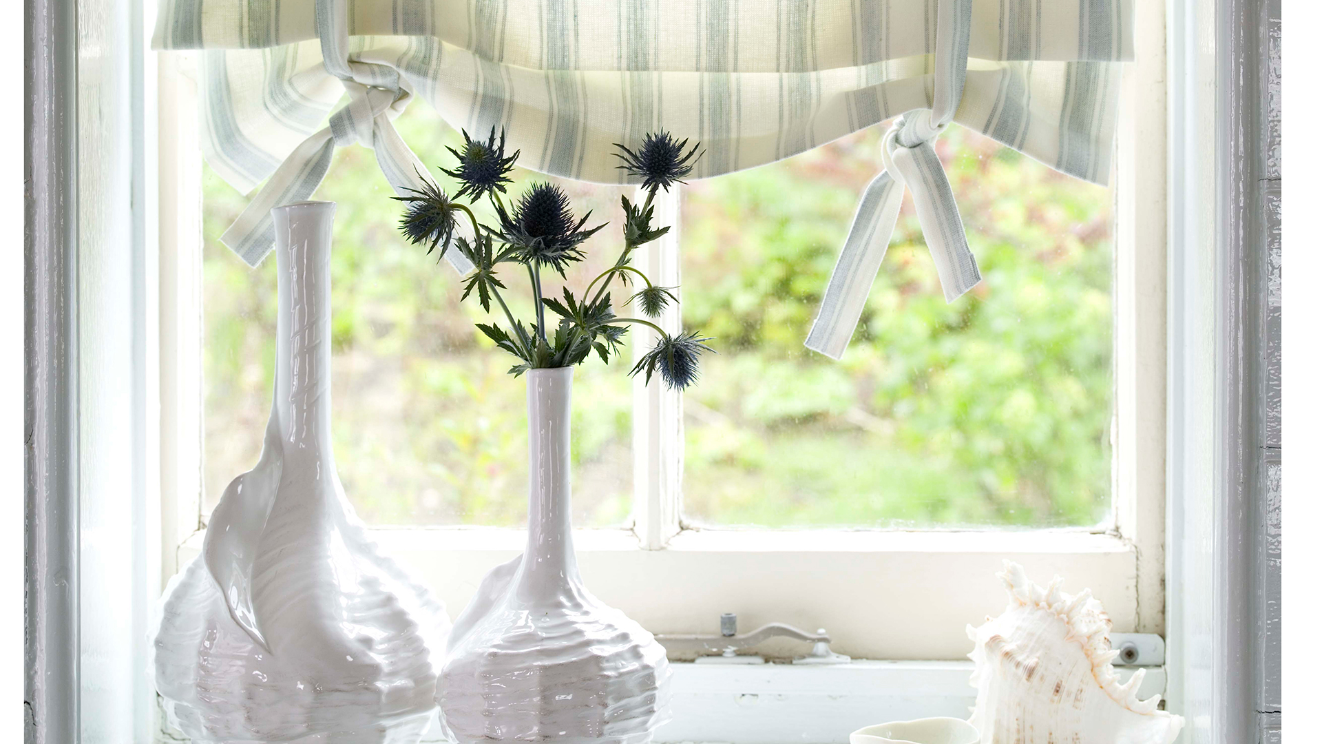 Close up view looking through a white sash window with a rolled up white and blue striped blind with shell vases displaying thistles
