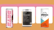 A selection of the best low-calorie alcoholic drinks in a can