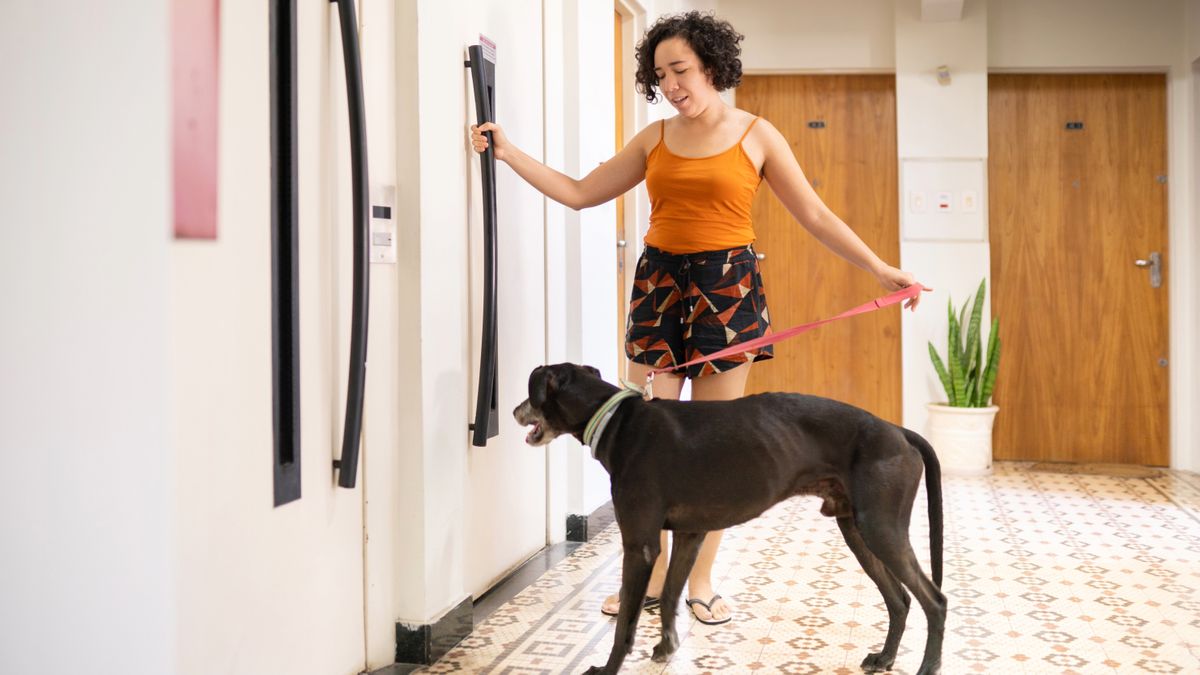 Woman and dog waiting by elevator 