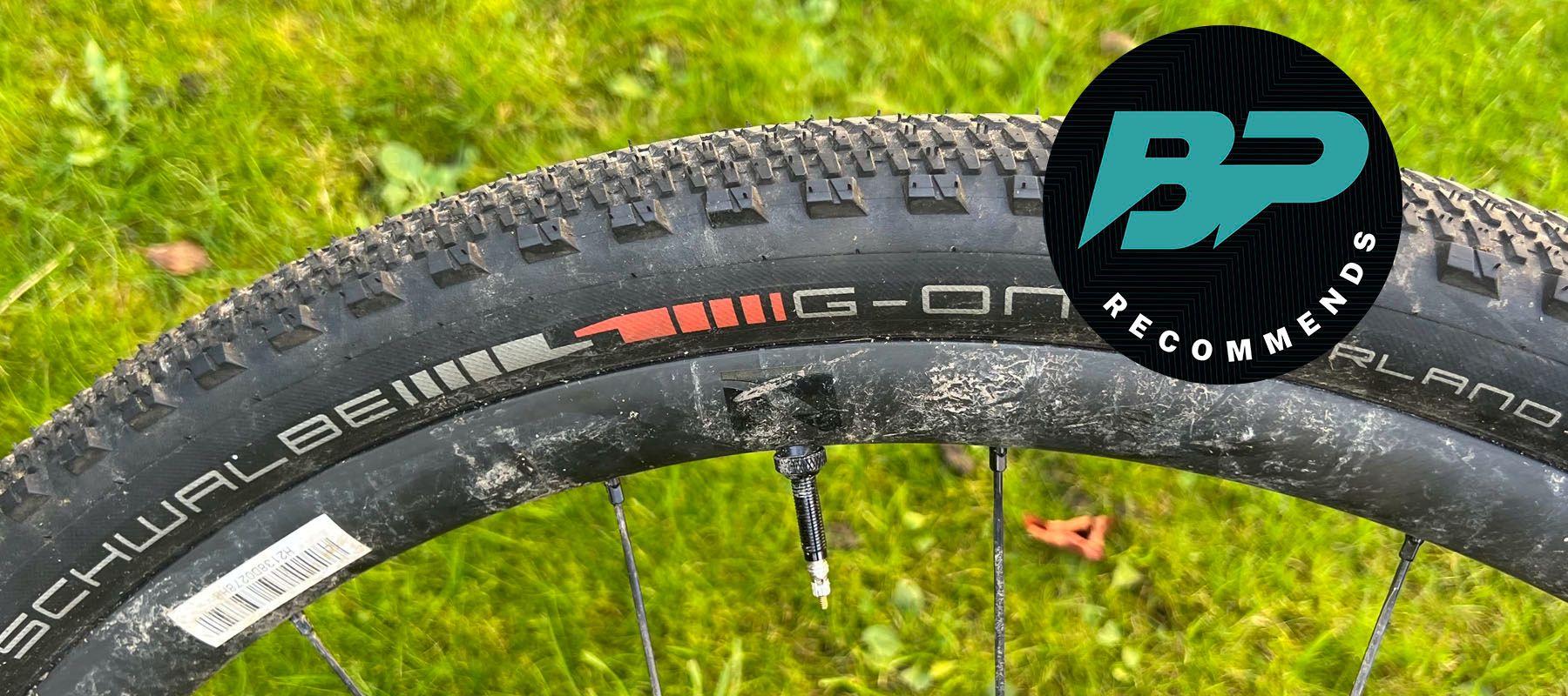 Schwalbe G-One Overland review | Bike Perfect