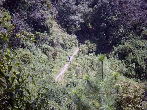 A rider on Guatemalan singletrack.