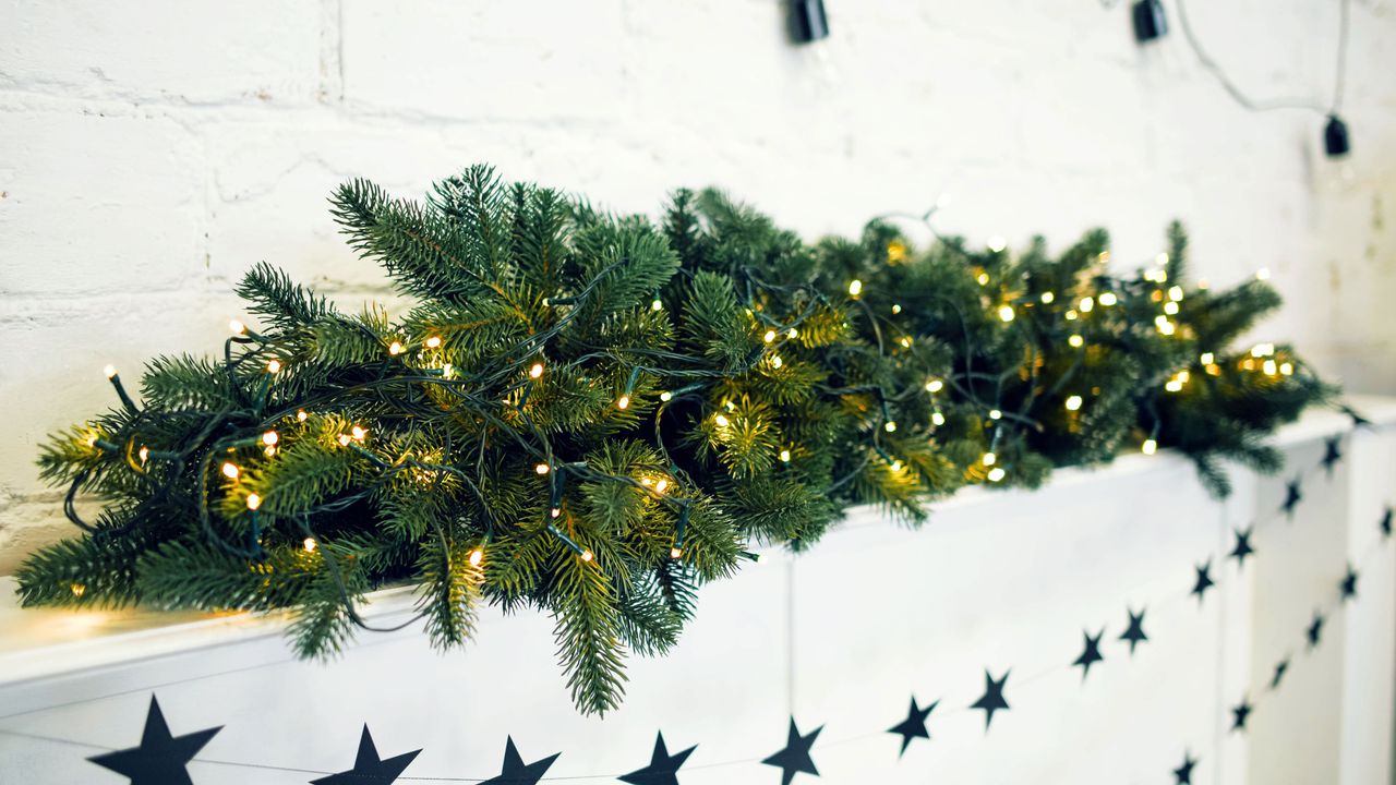 Christmas lights woven into foliage