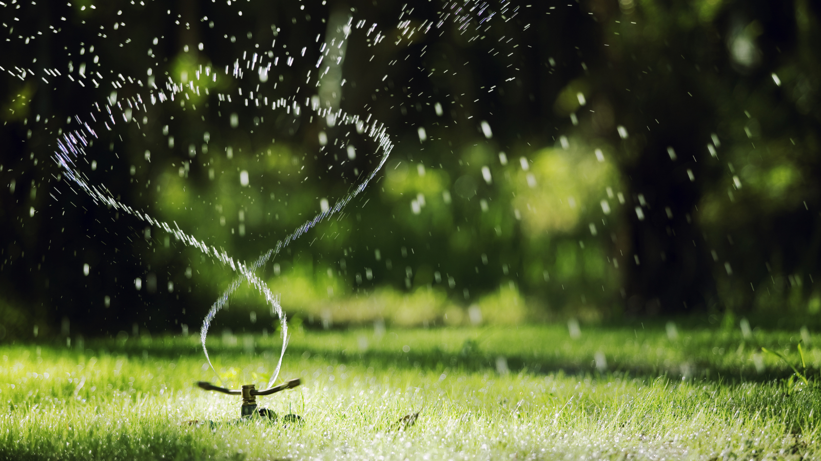 Twirling sprinkler waters lawn