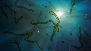 graphic illustrating astrobiology, showing simple microbes against a backdrop of stars. 