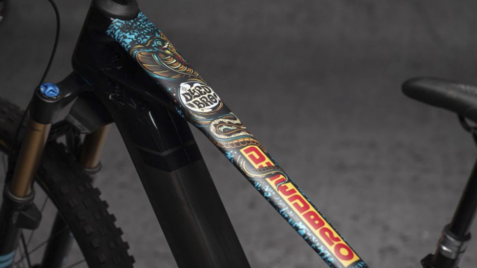 Best MTB frame protection adhesive layers to shield your bike from