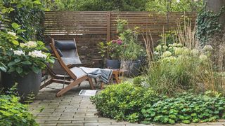 Modern garden space with landscaped beds and borders with greenery and grasses