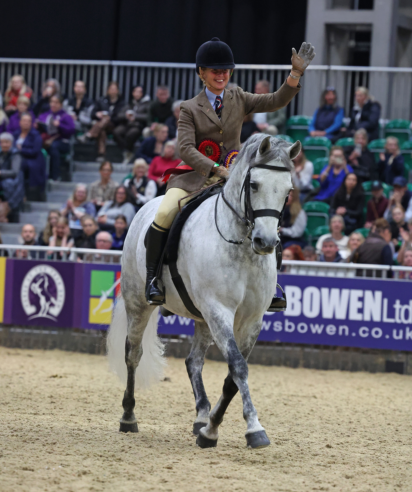2024 HOYS New Forest pony of the year final
