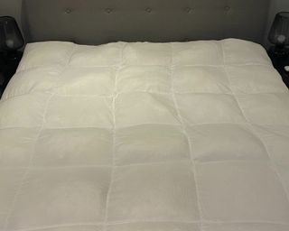 Coop Home Goods retreat mattress topper in review