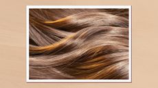 A close up of someone's long, wavy brunette hair/ in a beige template