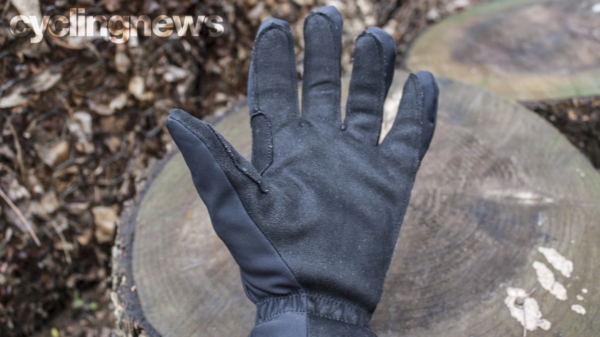 La Passione Deep Winter gloves