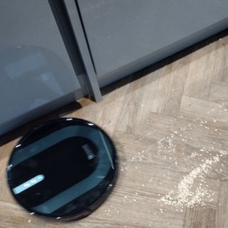 Image of Prosenic robot cleaner failing to clean up oats on a hardwood floor