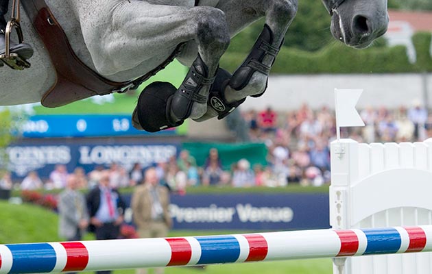 close up of show jumper legs over a fence