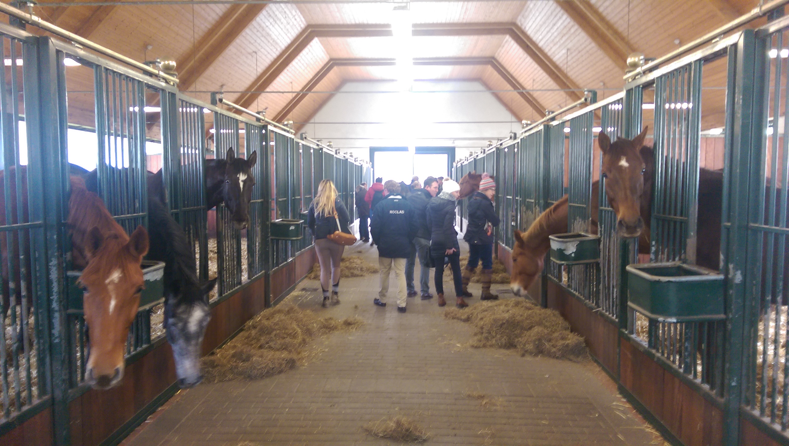 Youngstock barn at Westfalenhof