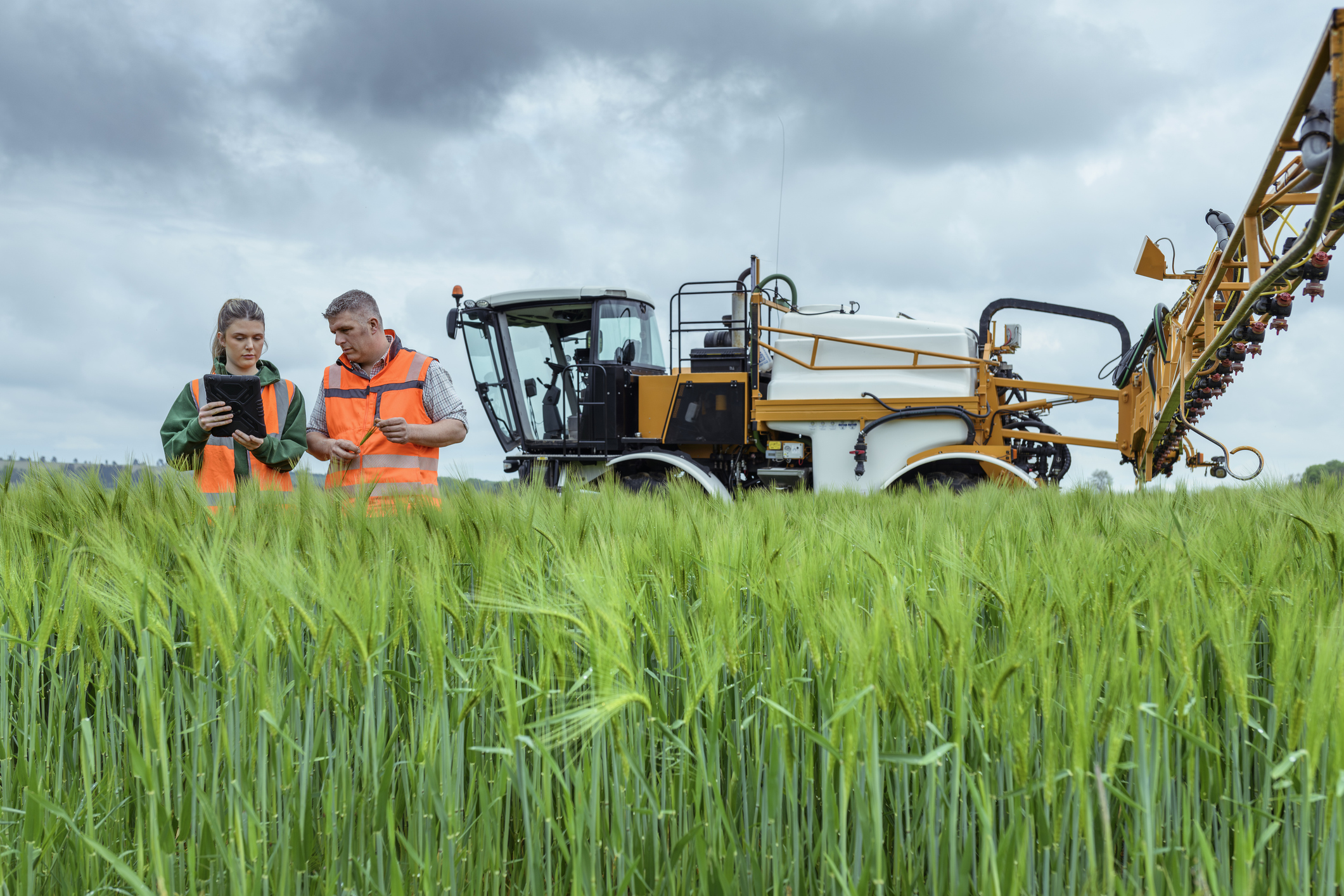 Farmers in a field with a tractor