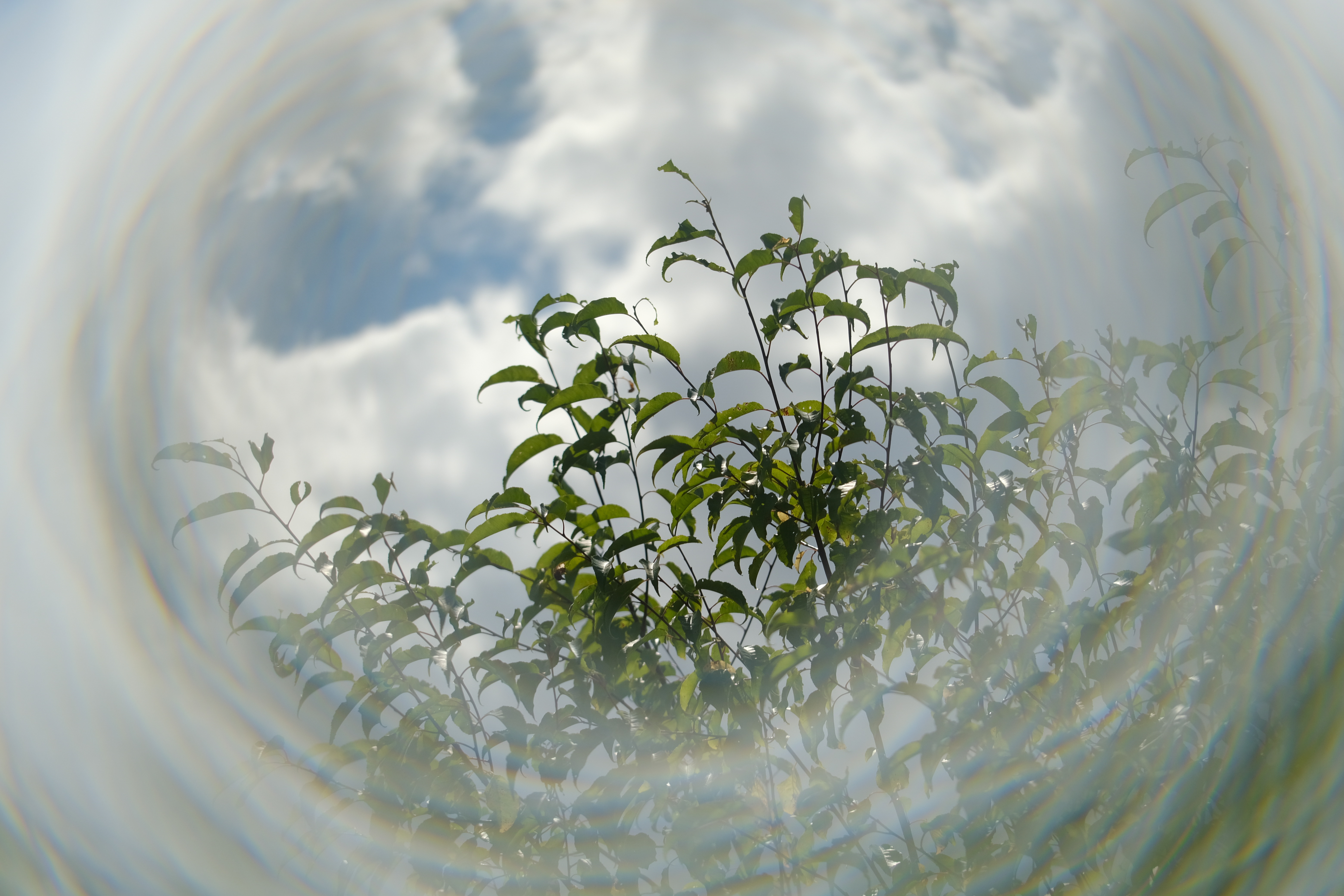 A sample image taken with the PolarPro Warp filter