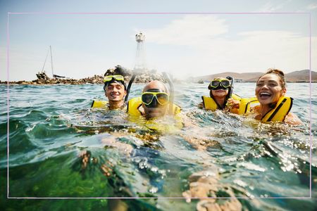 A family of four snorkelling