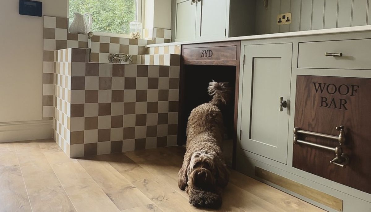 Cette bricoleuse a intégré un bar pour chiens sur mesure dans sa cuisine, et l'idée n'est pas aussi folle qu'il y paraît