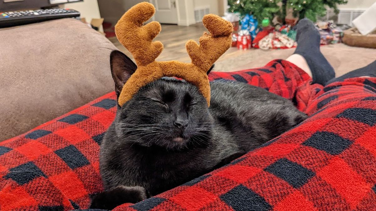 Sabrina asleep with reindeer antlers edited