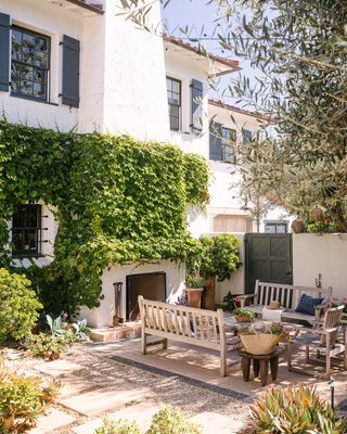 a backyard with a large olive tree
