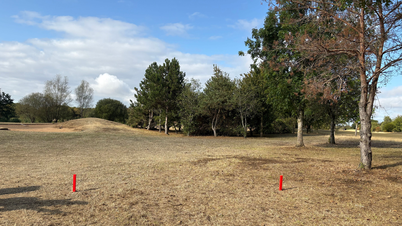 Two tee markers in front of a hedge