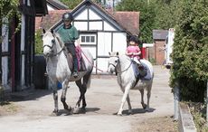 Search-for-a-lead-rein-ponyat-home-DSC_5832.jpg