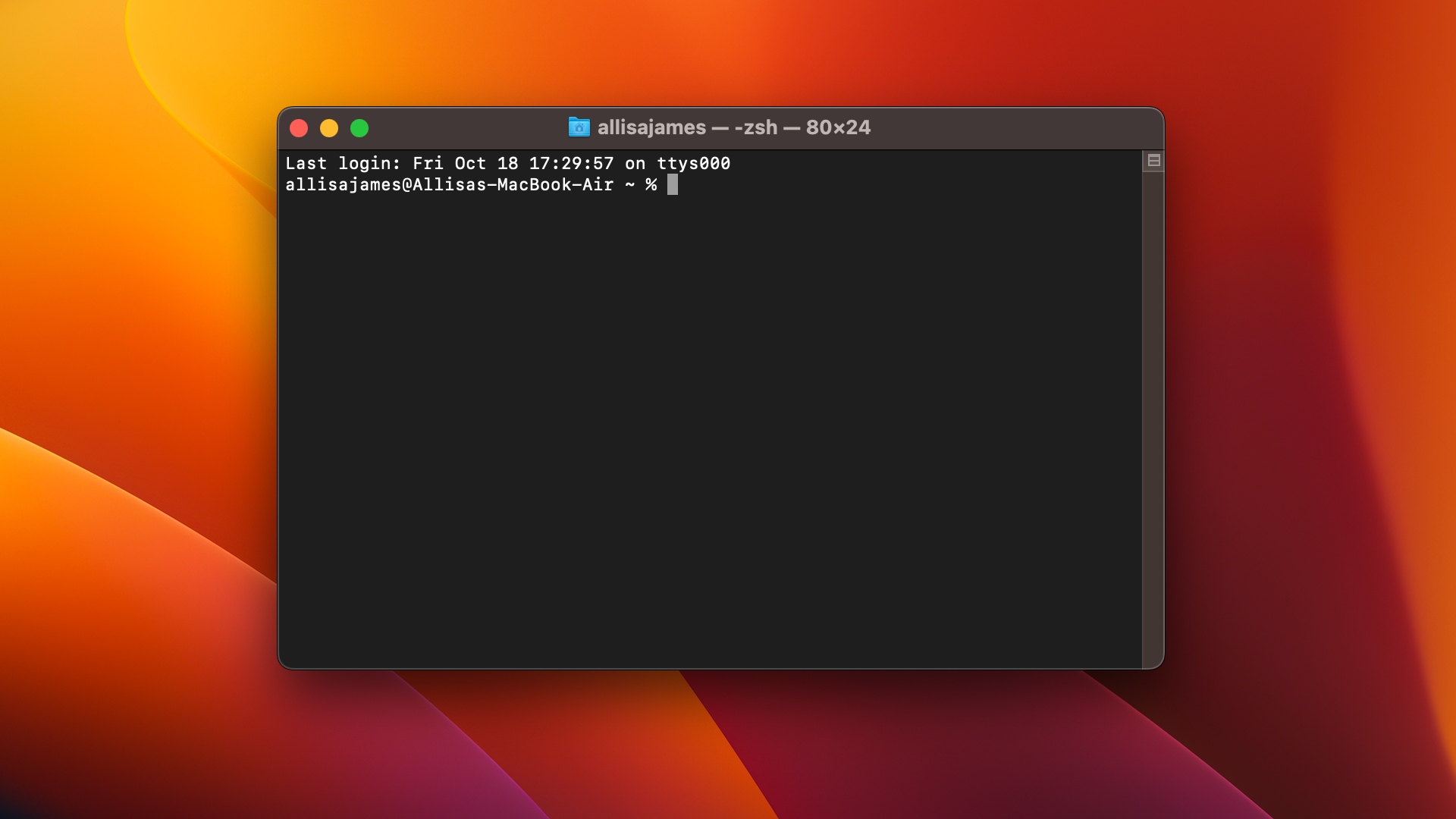 screenshot of terminal app
