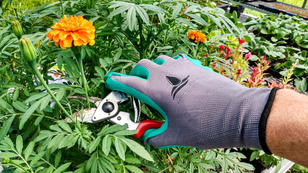 Amazing Stuff for You! Garden Gloves (2-pack)