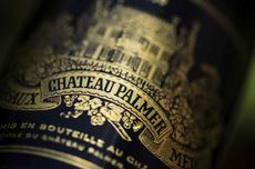 Spotlight on Bordeaux