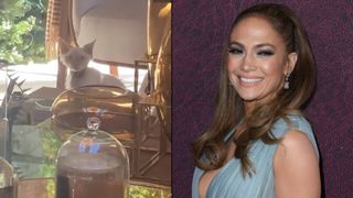 Jennifer Lopez's new kitten Hendrix