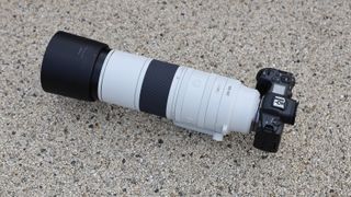 Canon RF 200-800mm f/6.3-9 IS USM lens on a Canon EOS R5 camera on a concrete surface