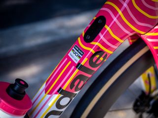 The bold paint job is like nothing else within the peloton