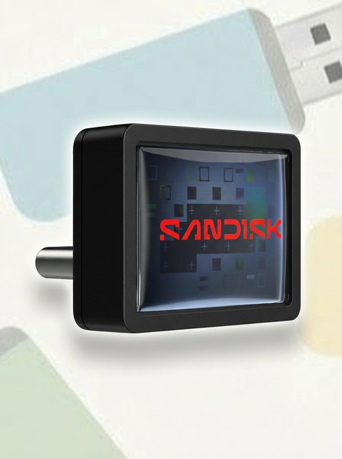 Sandisk 256GB Extreme Fit USB-C Flash Drive
