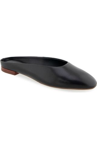 5TY3KwBUhEA2iREDNvFv7a-320-80 27 شقق أنيقة من بيع الذكرى السنوية 2025 Nordstrom