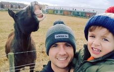 photobomb-horse.jpg