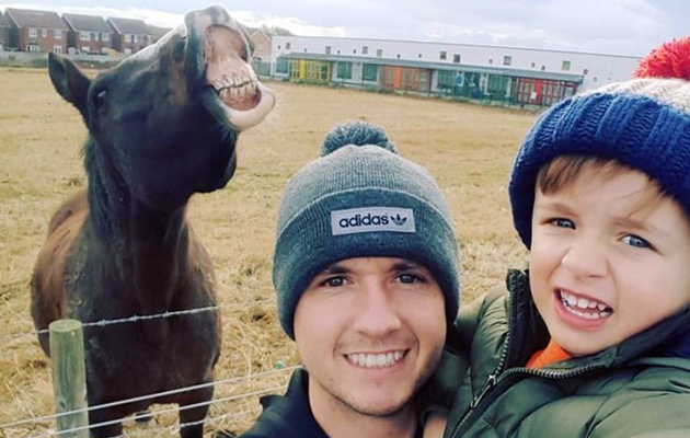 photobomb-horse.jpg
