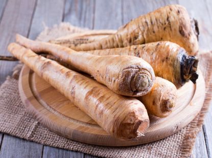 Harvested Parsnips