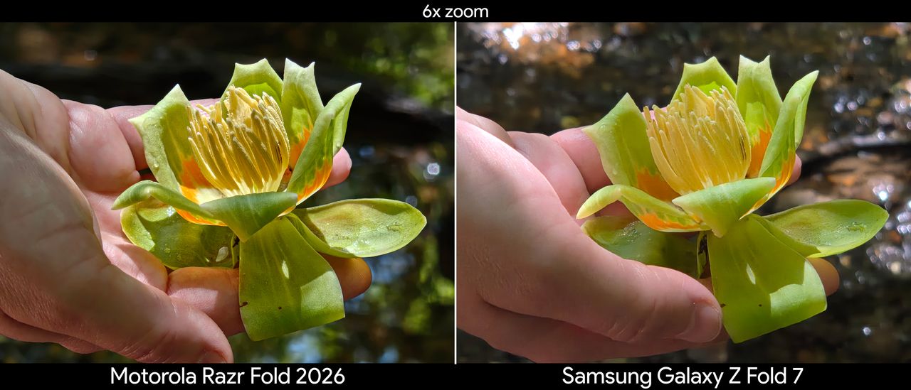 Comparing telephoto camera quality between the Motorola Razr Fold 2026 and Samsung Galaxy Z Fold 7