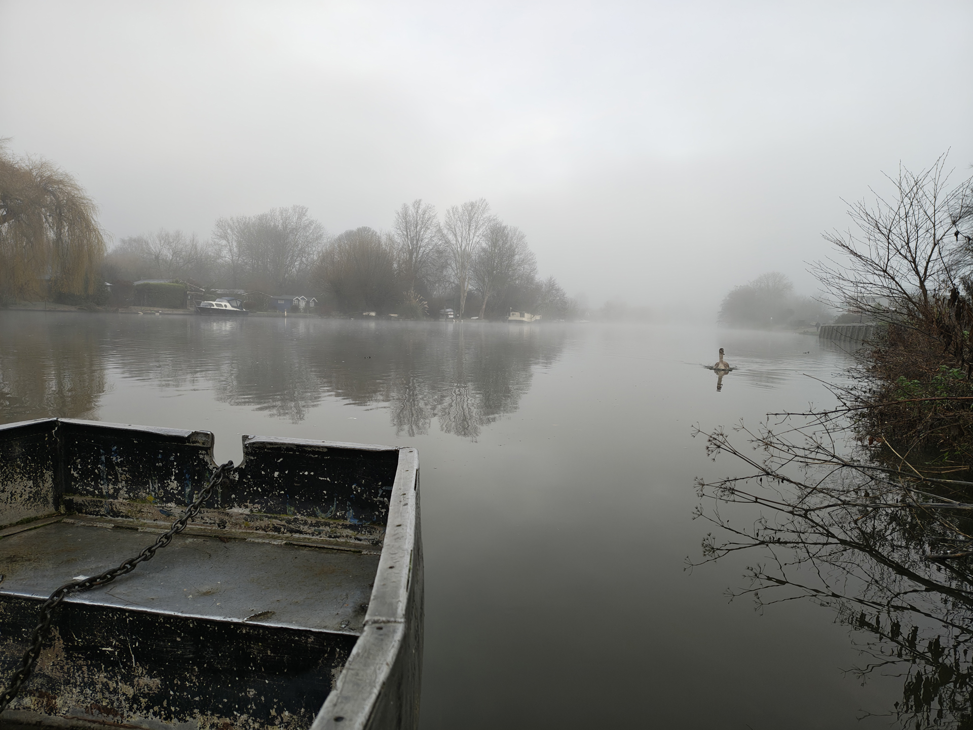 Moto Edge 70 sample photos