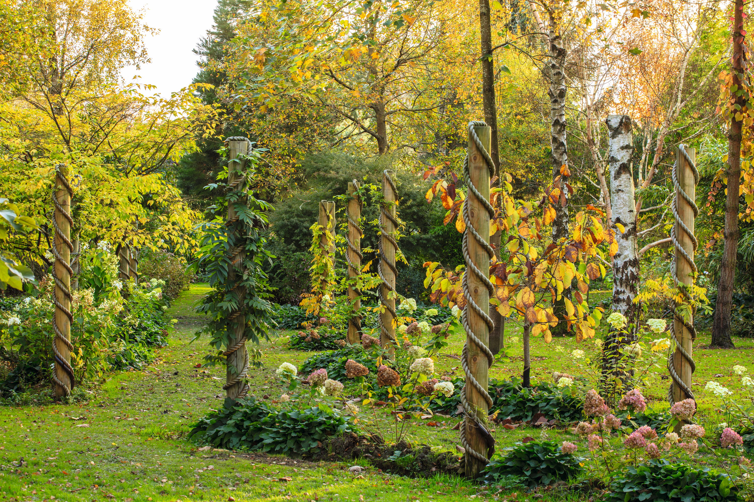 Bluebell Arboretum